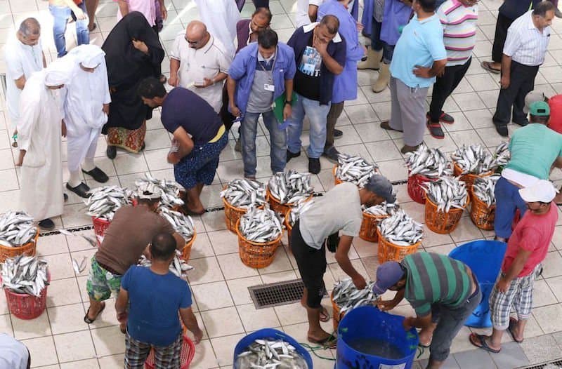 الكويت تمنع الوافدين من مزادات الأسماك لإيقاف التلاعب بالأسعار