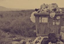 ما هي مشاكل إعادة التدوير؟