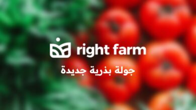 شركة Right Farm تجمع 2.8 مليون دولار في جولة تمويل بذرية