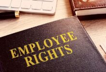 ما هي حقوق الموظفين؟