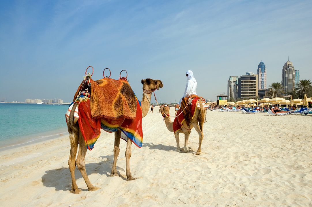 عدد السياح في دبي يقترب من مستويات ما قبل جائحة كورونا