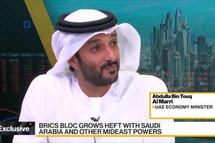 الإمارات تؤكد أن عضويتها الجديدة في البريكس لن تضر بعلاقاتها مع الدول الغربية