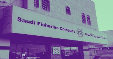 «السعودية للأسماك» تعيّن محمود أبو عقيل رئيسًا تنفيذيًا بالوكالة وتُنهي خدمات الرئيس السابق