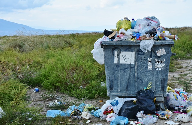 إعادة تدوير النفايات: ما هي؟ وكيف تجري عملية إعادة التدوير؟