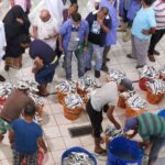 الكويت تمنع الوافدين من مزادات الأسماك لإيقاف التلاعب بالأسعار
