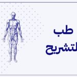 كم راتب طب التشريح في السعودية والإمارات ومصر والكويت؟